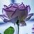 Gloria Smith's profile image