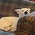 Samantha Bracker's profile image