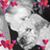 Natalie Amsler's profile image