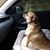 Holly Lynn's profile image