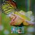 Kelly Stroyny Perez's profile image