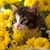 Jenifer N. Clark's profile image