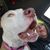 Pinkus Floydd's profile image