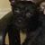 Tammi Leake Carter's profile image
