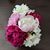Donna Murray's profile image