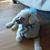 Laura Spratt Shields's profile image
