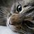 Mary Burwell's profile image