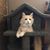 Judi Chval's profile image