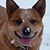 Jill Pakkala's profile image