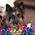Flo Lombardo's profile image