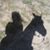 Seanna Archambeau's profile image