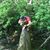 Jesse Fleming's profile image