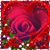 Denise Annette Homuth's profile image