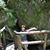 Charmaine B Fuller-michaels's profile image