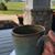 Robin Whitehead Tichenor's profile image
