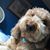 Amanda Riggins's profile image