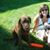 Anne Brodhead Pugsley's profile image
