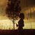 Nichole Perkins's profile image