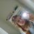 Megan Teibel's profile image