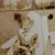 Cindy Marx-Sanders's profile image