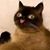Dylan Page's profile image