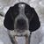 Caroline Rapp Simpson's profile image