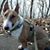 Kristi Erickson's profile image
