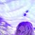 Kristi P Comeaux's profile image