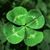 Maureen Mulville's profile image