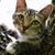 Dee Child's profile image