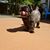 Shirley J Keith-Gipe's profile image