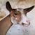 Teena K Bagwell's profile image