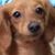 Debra Ream's profile image