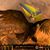 Flavio Avendano's profile image