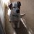 Christine Pierson's profile image