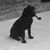 John Kile's profile image