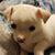 Heather Bucklin's profile image