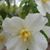 Linda Reed's profile image