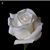 Corynne Bigelow's profile image