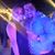 Erin Nichole Smentek's profile image
