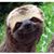Ayden Johnson's profile image
