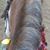 Heather Dyer's profile image