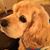 Linda Fritz Kunz's profile image