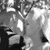 Ashley Killingsworth's profile image