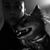 Quak-Quak Ugh-Uga's profile image