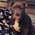 Jason Brown's profile image