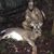 Roxanne Lauziere Patrick Billette's profile image