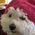 Linda Novak's profile image