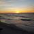 Deborah Leous's profile image
