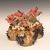 Galop Ceramics's profile image